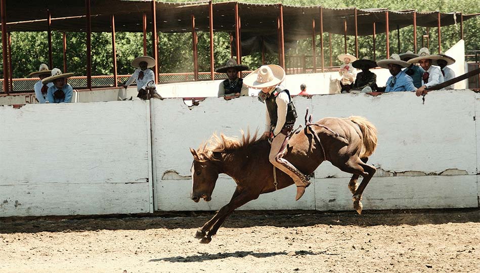 Cowboy som rider rodeo. Ska illustrera känslan av upprymdhet vi hoppas att du känner inför att sälja din bil privat.