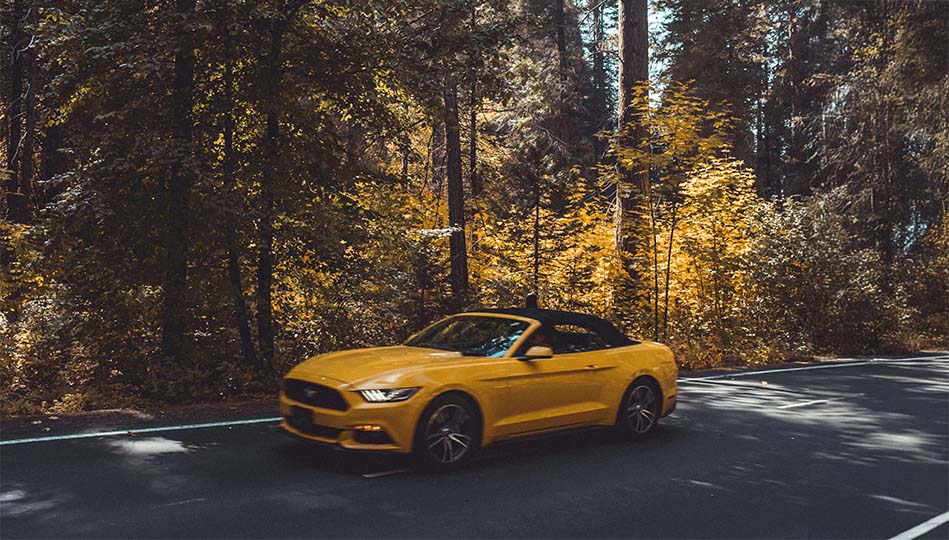 Bil som står parkerad vid sidan av vägen. Det är dagsljus ute, men bilen står i skogen och alla kuggor kan göra det svårt för en annan förare att se bilen. Då är det läge att slå på parkeringsljuset.
