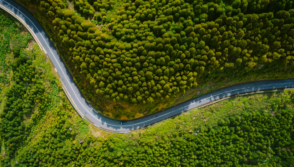 Elbilspremien är ett stöd för dem som bor i glesbygd och vill köra en elbil.